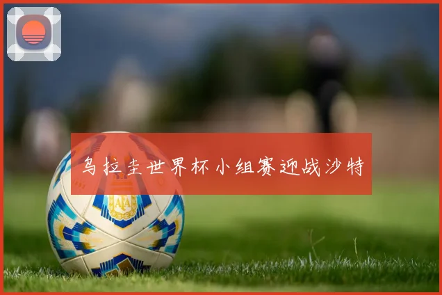 乌拉圭世界杯小组赛迎战沙特