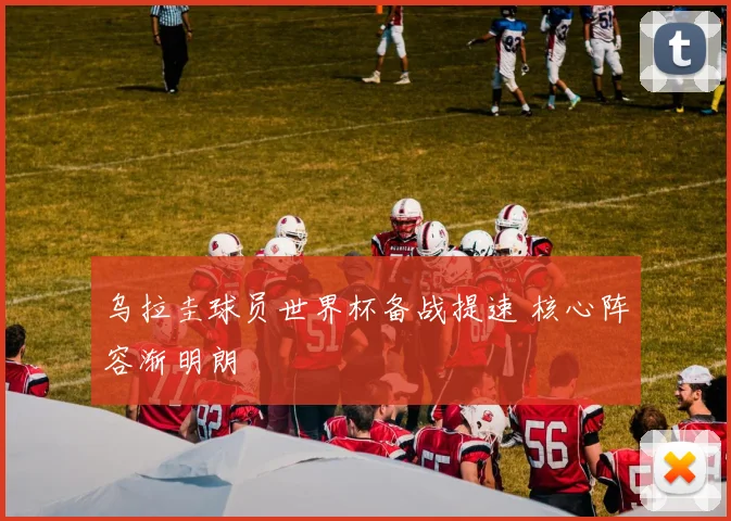 乌拉圭球员世界杯备战提速 核心阵容渐明朗