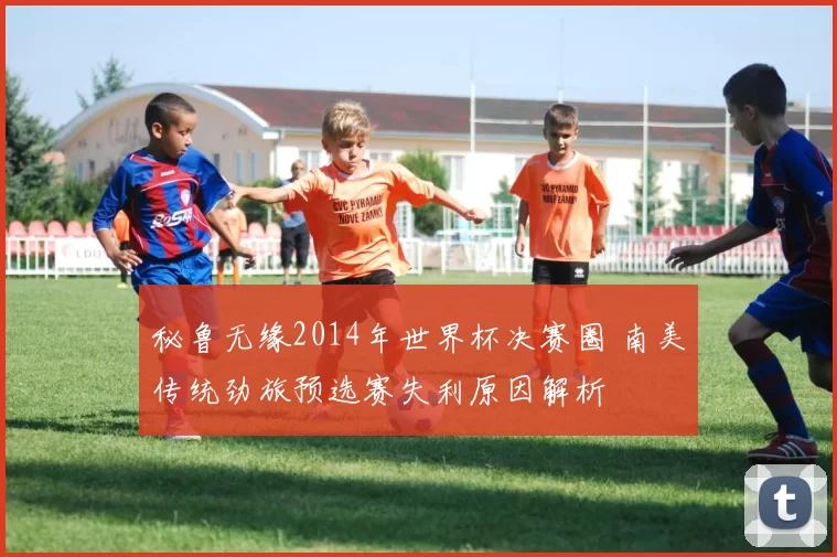 秘鲁无缘2014年世界杯决赛圈 南美传统劲旅预选赛失利原因解析